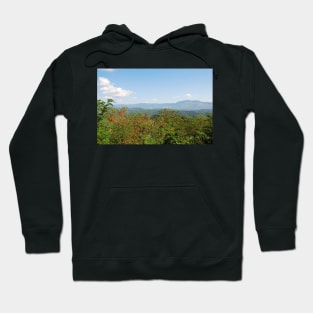 Landscape Around Gracisce Hoodie